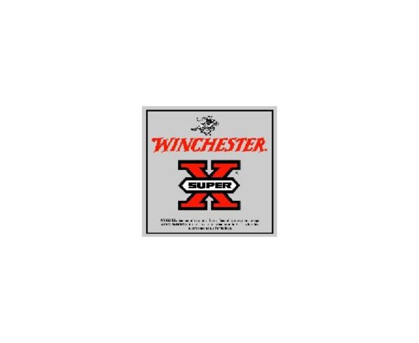 Winchester Super-X 307 Winchester 180GR PP 20rds